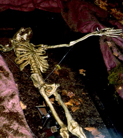 Skeleton down pic.